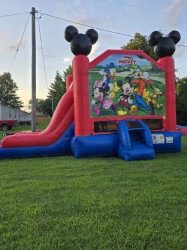 Mickey and Friends EZ Combo Wet or Dry